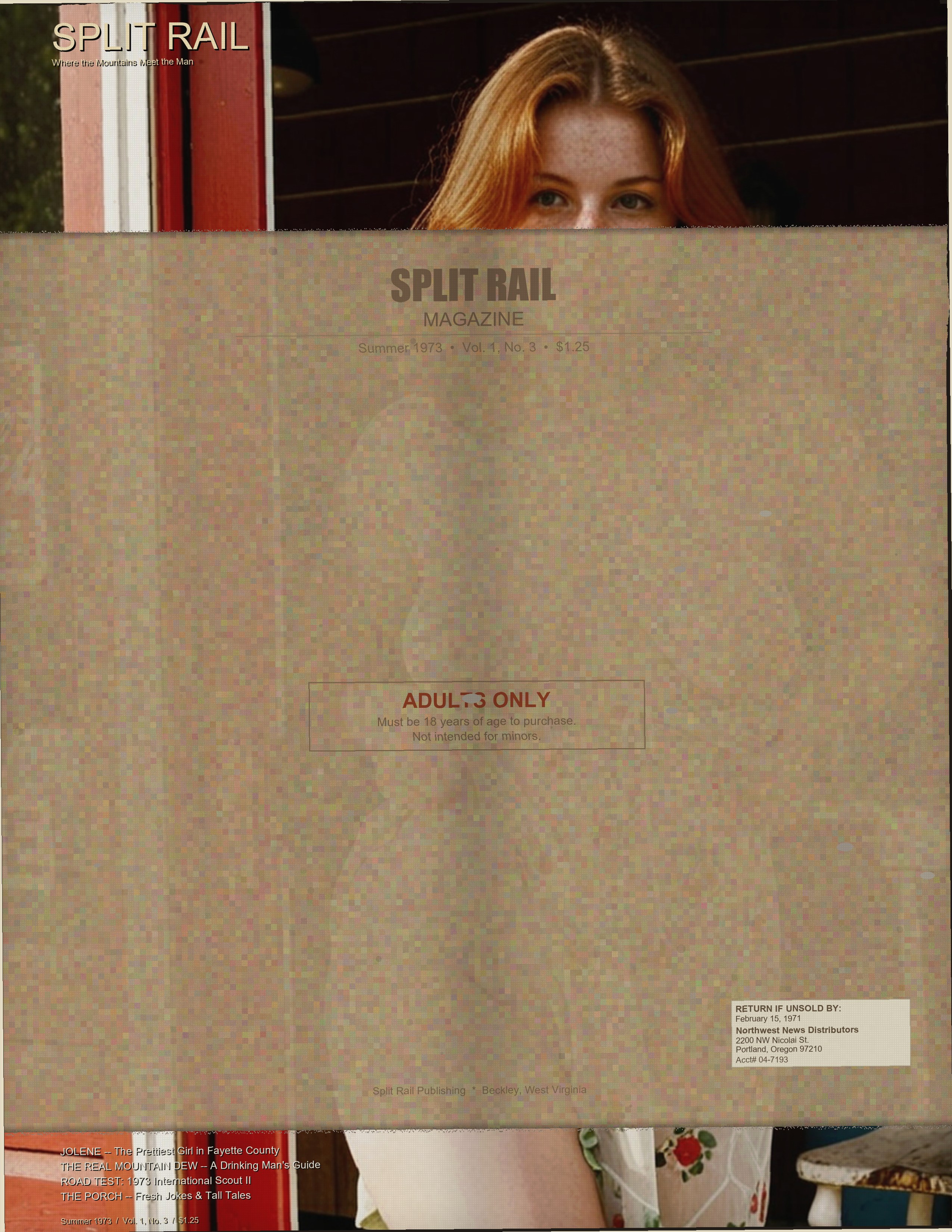 Split Rail Vol. 1, No. 3